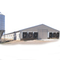 China Low Cost Complete Light Steel Frame Poultry Hosue Shed Construction With Equipment In India